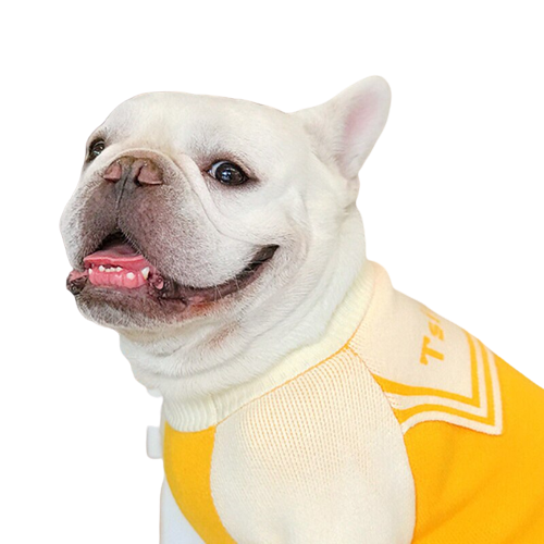 Roupinha Pet Suéter Amarelo para Cães