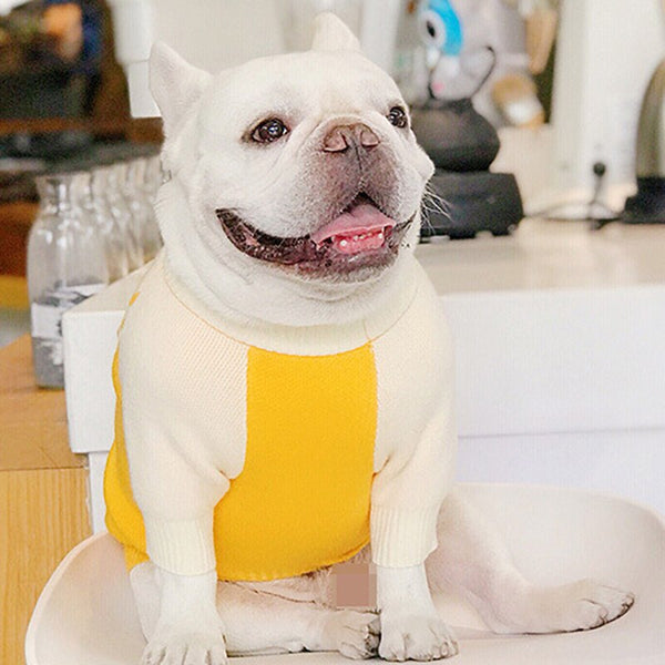Roupinha Pet Suéter Amarelo para Cães