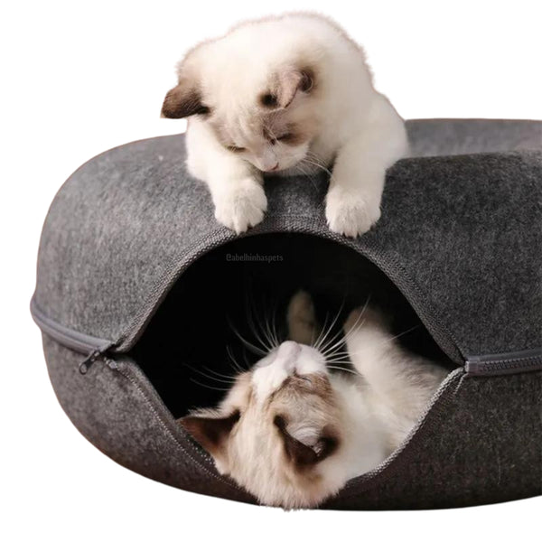 Cama e Brinquedo Túnel Interativo para Gatos