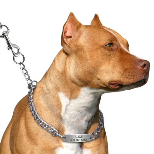 Coleira Corrente Enforcador de Identificação Personalizada pra Cachorros