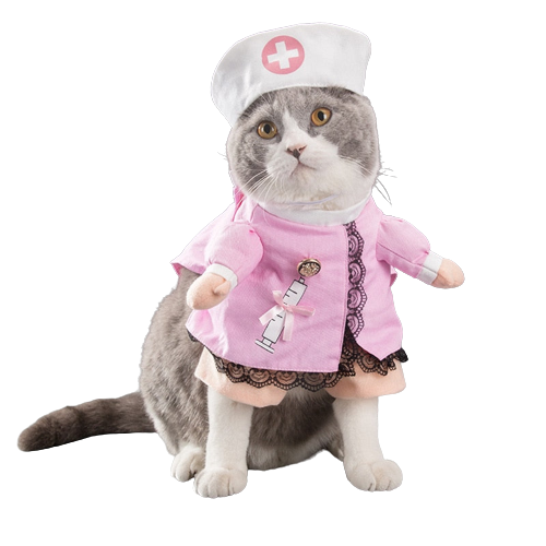 Fantasia Pet para cães e gatos de Enfermeira