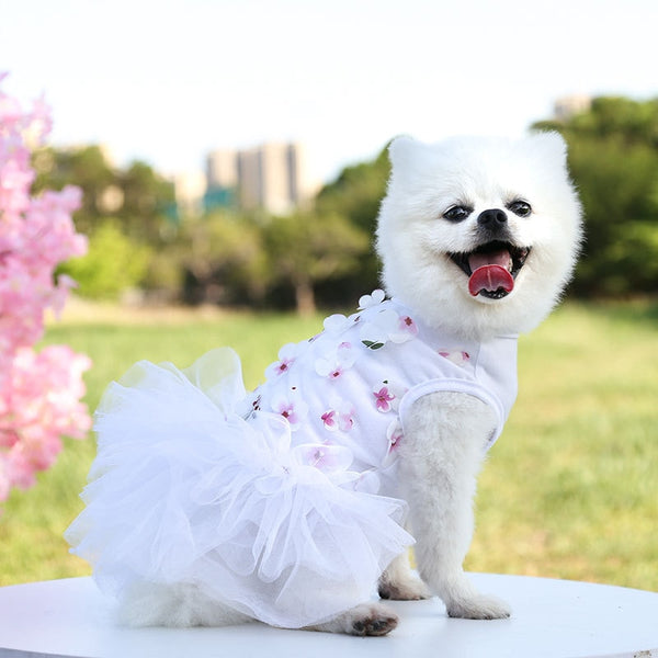 Roupa Pet pra Cães e Gatos Vestido de Festa