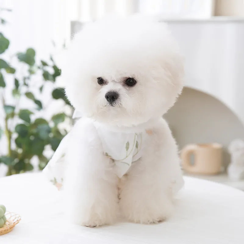 Roupa pet para Cães e Gatos Vestido Floral Branca