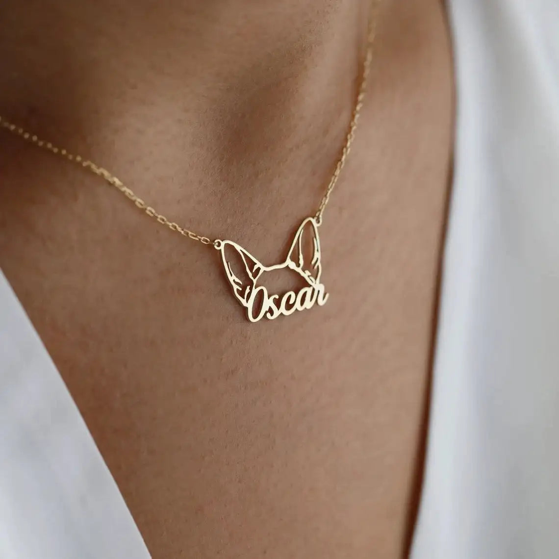 Colar Personalizado com nome do seu animal - Colar Meu Amigo de Quatro Patas