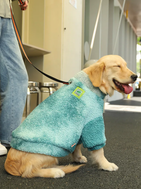 Casaco de Inverno para Cachorros Grandes de Lã - Roupinha Pet de Inverno