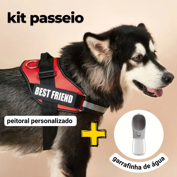 Peitoral Personalizado Personalizado E ganhe a Garrafa de água Portátil - Kit passeio Abelhinhas Pets