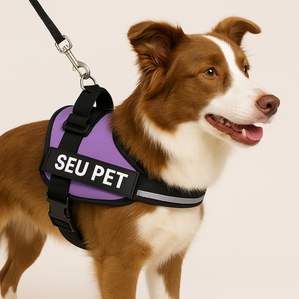 Coleira Peitoral Personalizada com faixa Refletiva para Cães