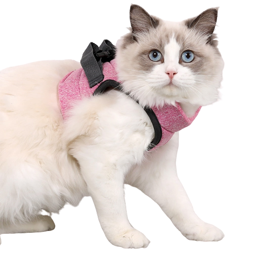 Peitoral pra Gatos acompanha Guia
