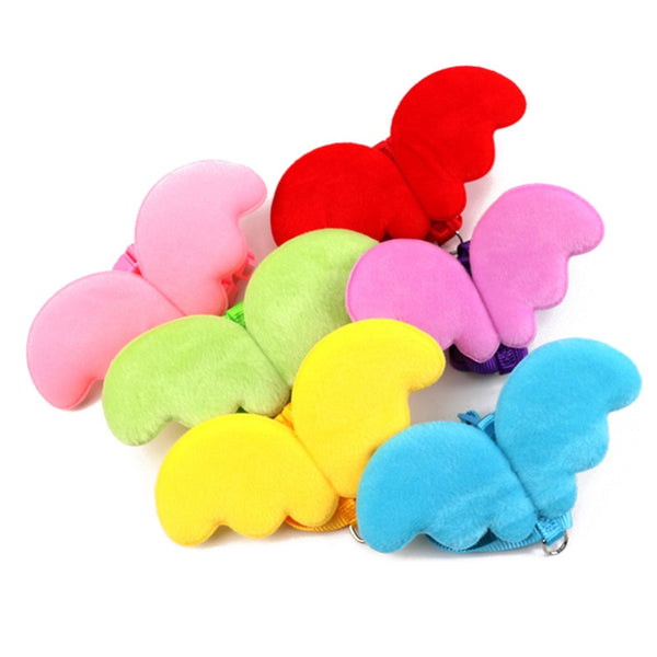 Peitoral Anjinho para Gato e cachorro - Kit com Guia
