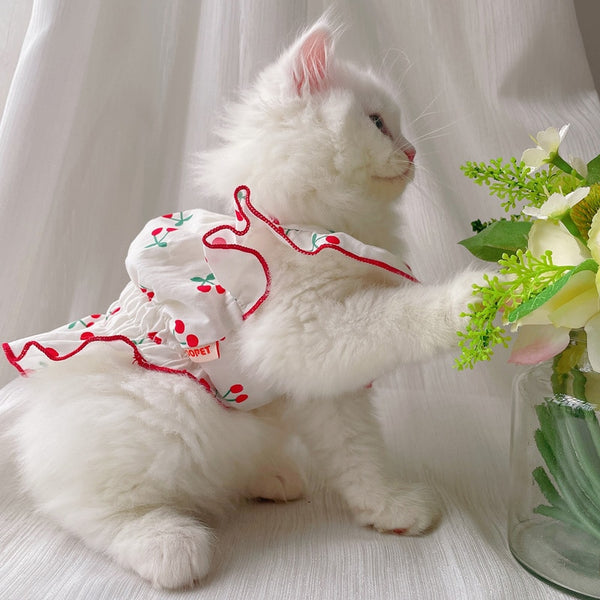 Roupa Pet pra Cães e Gatos Vestido de Cerejinha