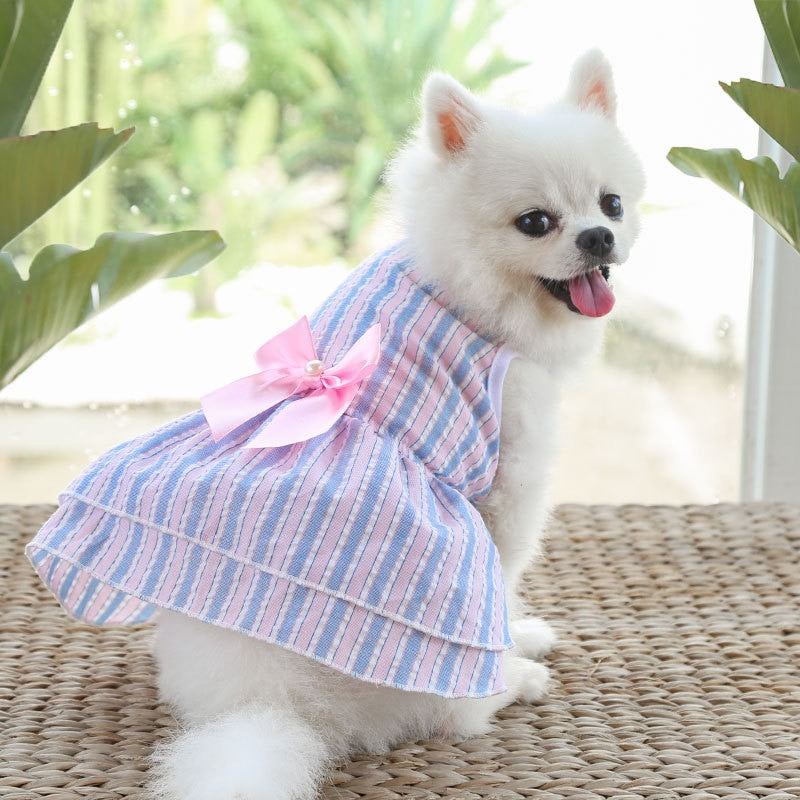 Roupa Pet para cães e gatos Vestidos Princesa