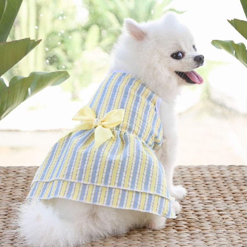 Roupa Pet para cães e gatos Vestidos Princesa