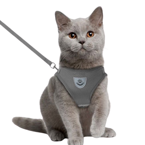 Coleira Peitoral e Guia para Cães e Gatos - Cinza
