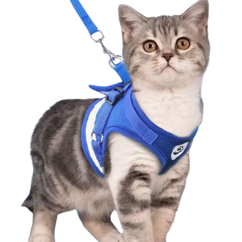 Coleira Peitoral e Guia para Cães e Gatos - Azul | Abelhinhas Pets