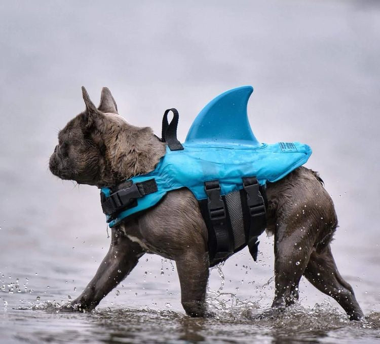 Colete Salva-Vidas Pet Tubarão para Cachorro